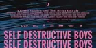 野拍裸少年 Self Destructive Boys 论坛自译中文字幕