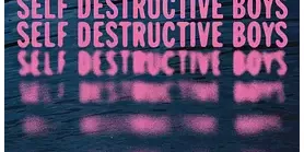 野拍裸少年 Self Destructive Boys 论坛自译中文字幕